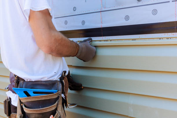 Affordable Vinyl Siding solutions in Mayodan, NC